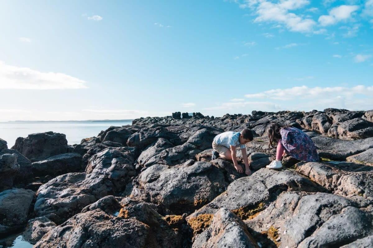 Takapuna Beachfront W Stunning Views Auckland Ngoại thất bức ảnh